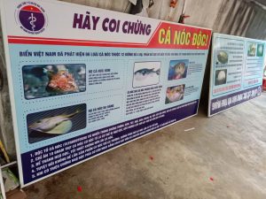 In Ấn trên Nhiều Chất Liệu